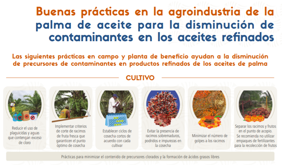 Afiche Buenas prácticas en la agroindustria de la palma de aceite para la disminución de compuestos contaminantes en aceites refinados 